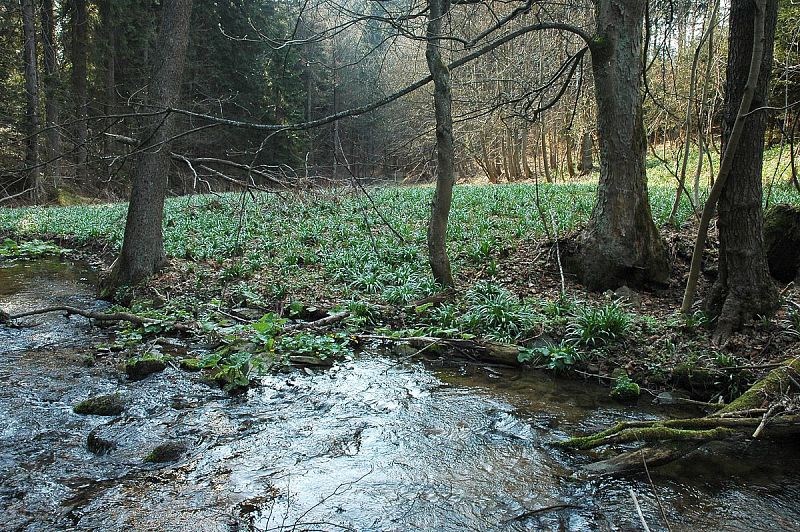 Výlet k Čenkovičce a Filipově prameni